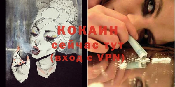 прущие грибы Фурманов
