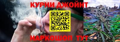 прущие грибы Гагарин