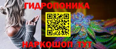 PSILOCYBIN Абакан