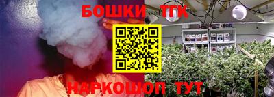 прущие грибы Гагарин