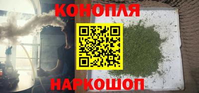 прущие грибы Гагарин
