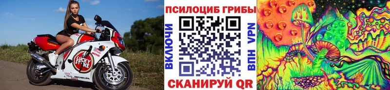 Псилоцибиновые грибы прущие грибы  сколько стоит  Алейск 