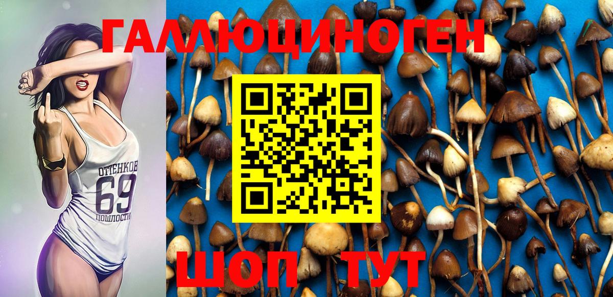 Псилоцибиновые грибы Psilocybine cubensis  как найти   Алейск  Вход с VPN 