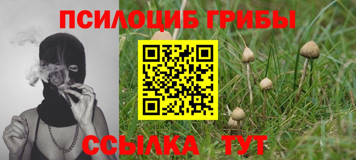 Псилоцибиновые грибы GOLDEN TEACHER  Алейск 