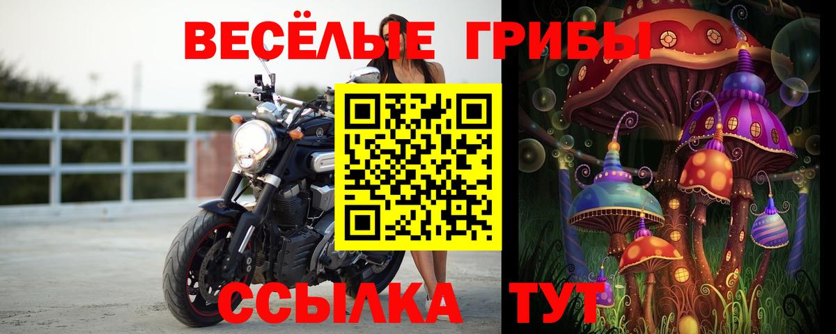 Алейск  наркота  Вход с VPN  Галлюциногенные грибы прущие грибы 