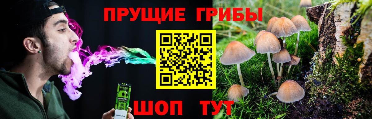Псилоцибиновые грибы Magic Shrooms Алейск